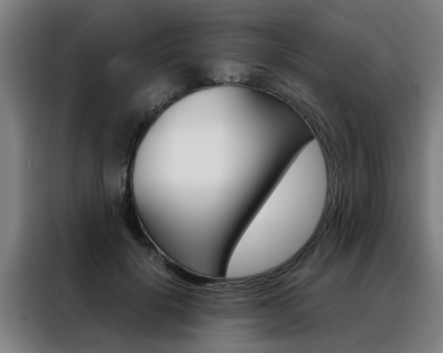 X0000088440652200705220916