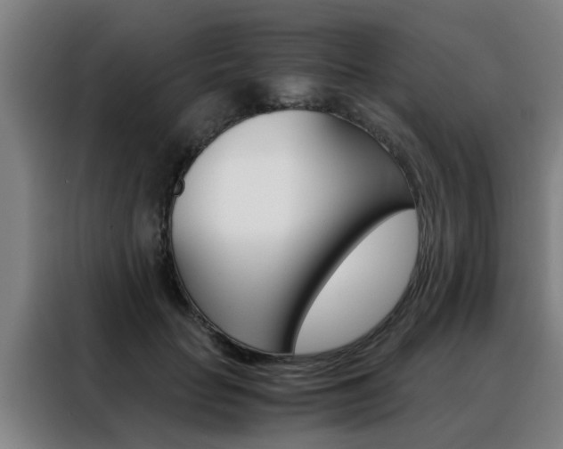 X0000088440653200705220916