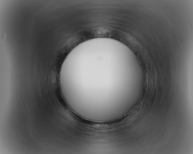 X0000088440654200705220916