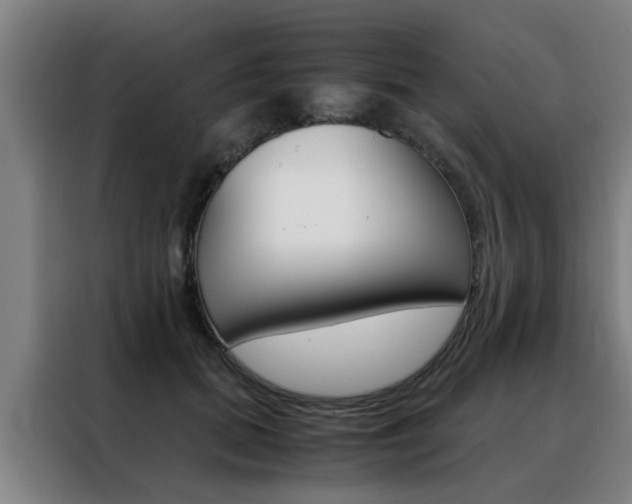X0000088440655200705220916