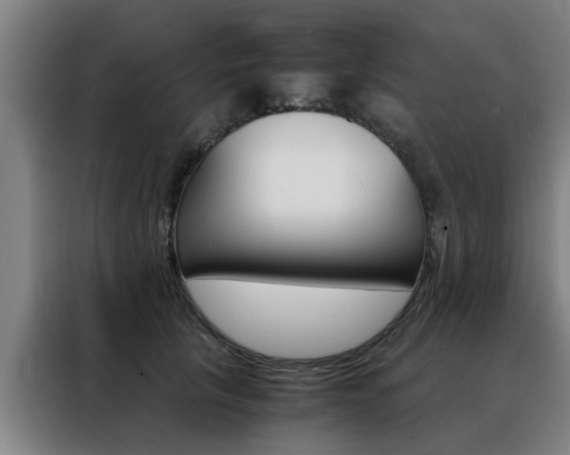 X0000088440657200705220916