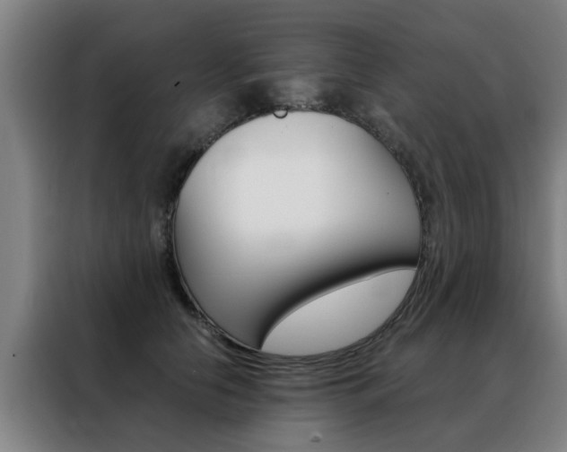 X0000088440658200705220916