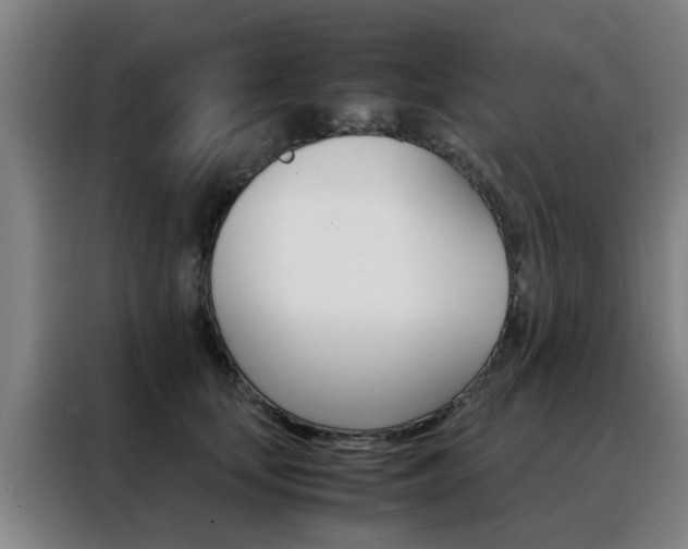 X0000088440659200705220916