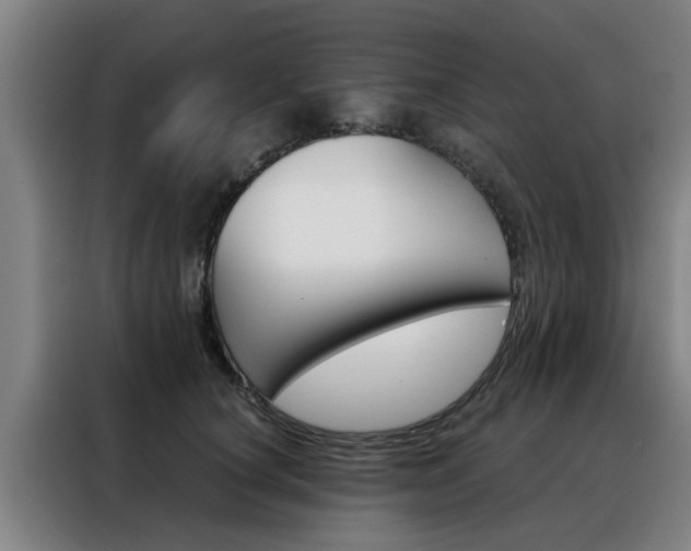 X0000088440660200705220916