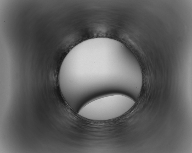 X0000088440661200705220916