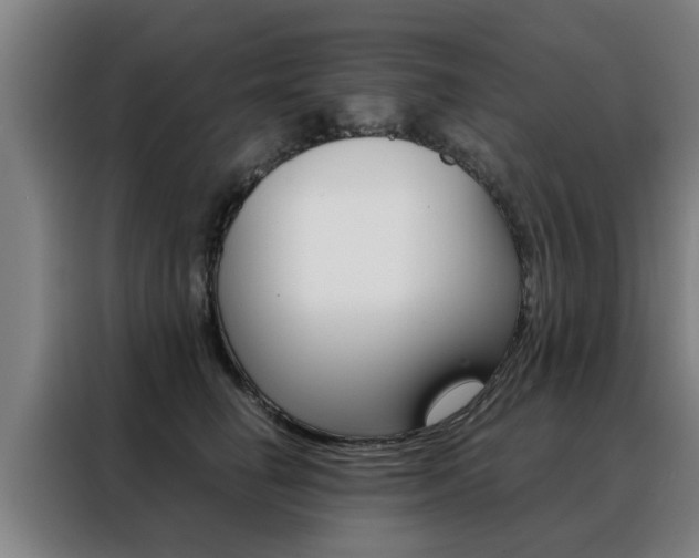 X0000088440662200705220916