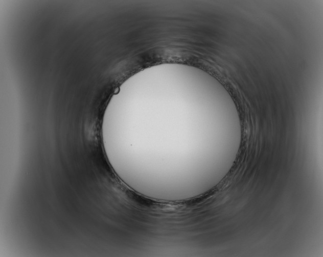 X0000088440663200705220916