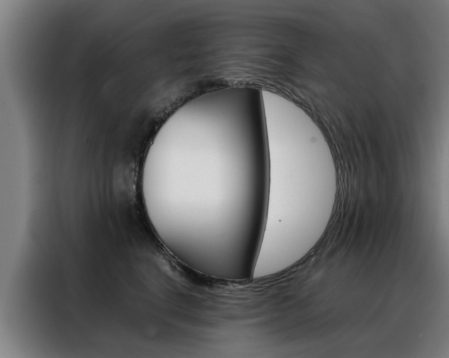 X0000088440664200705220916
