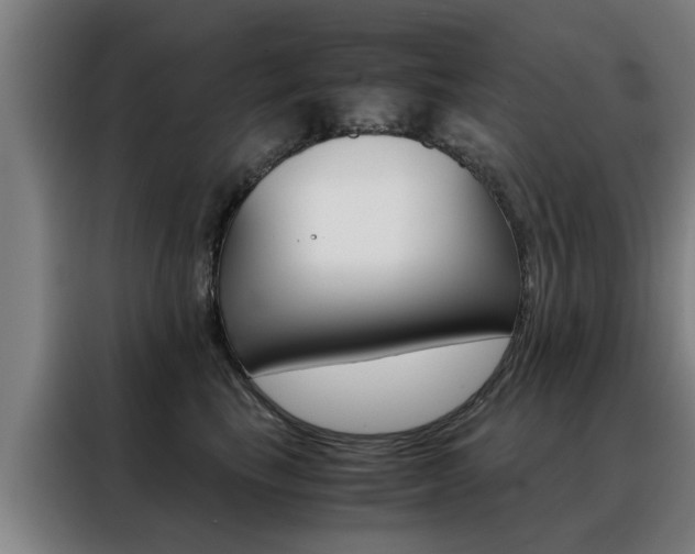 X0000088440665200705220916