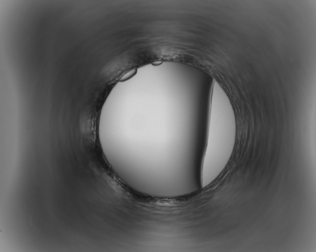 X0000088440666200705220916