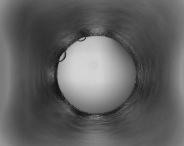 X0000088440668200705220916
