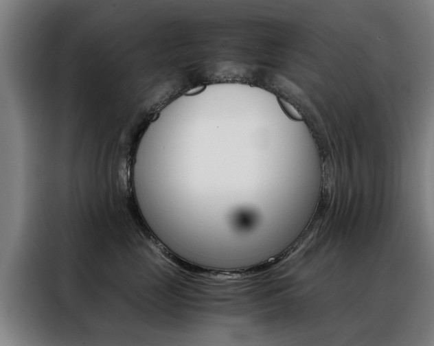 X0000088440669200705220916