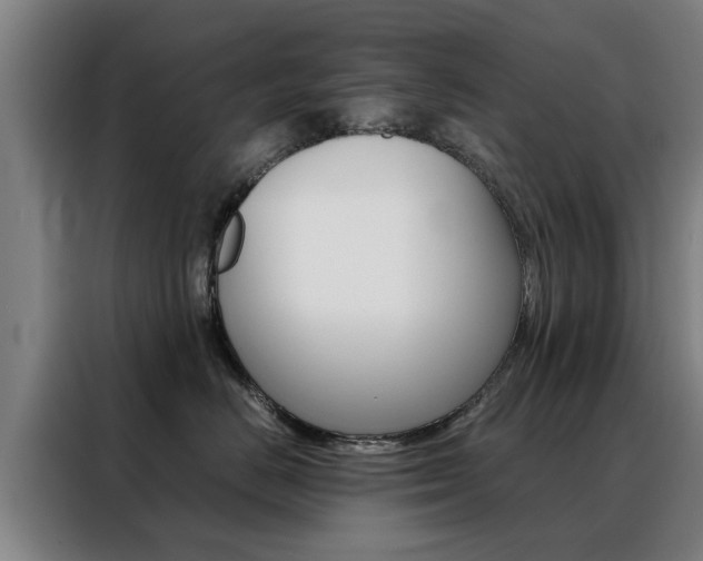 X0000088440670200705220916
