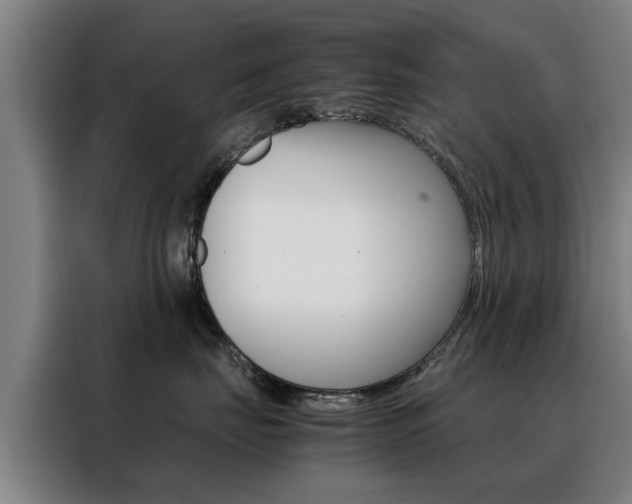 X0000088440671200705220916