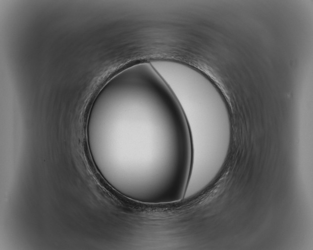 X0000088440673200705220915