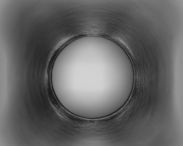 X0000088440674200705220915