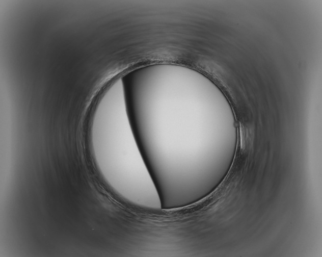 X0000088440675200705220915