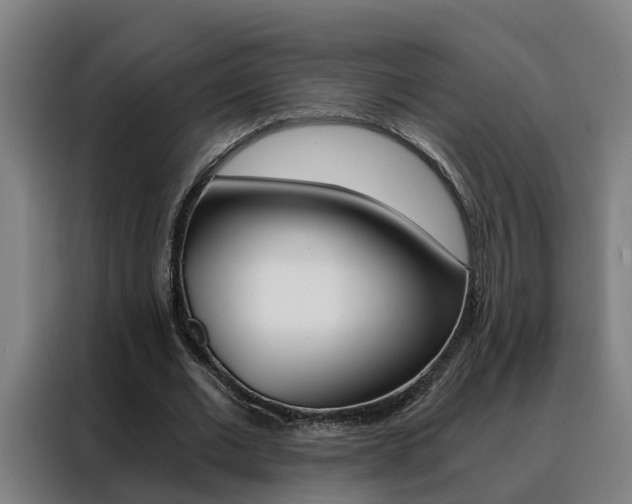 X0000088440677200705220915