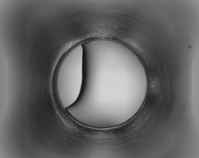 X0000088440678200705220915
