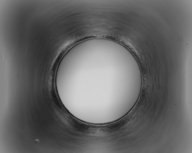 X0000088440679200705220915