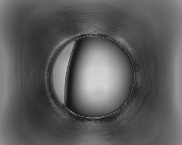 X0000088440680200705220915