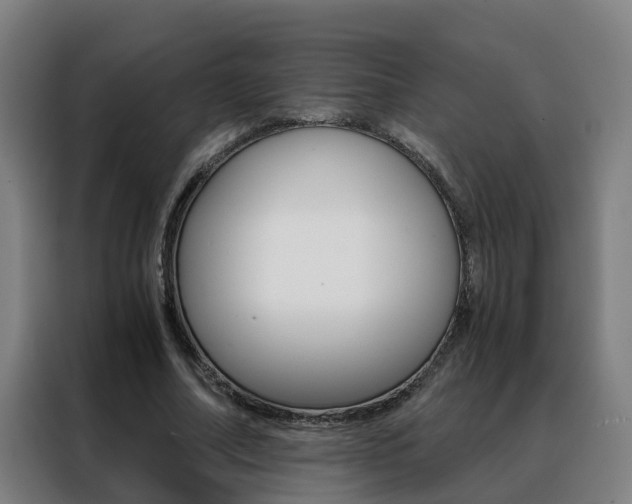 X0000088440682200705220915