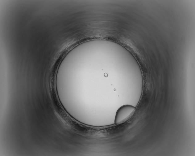 X0000088440683200705220915