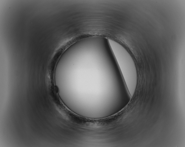 X0000088440688200705220915