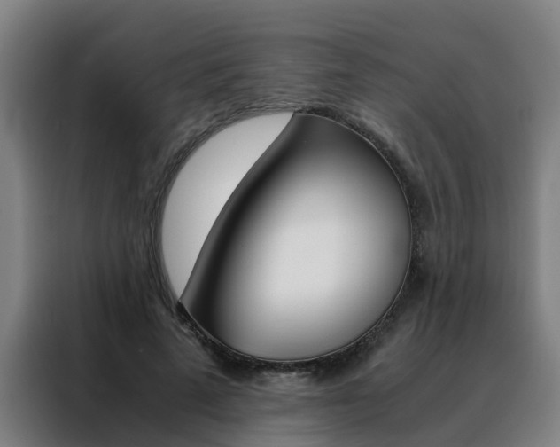 X0000088440689200705220915