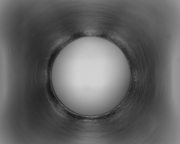 X0000088440690200705220915