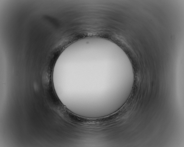 X0000088440691200705220915