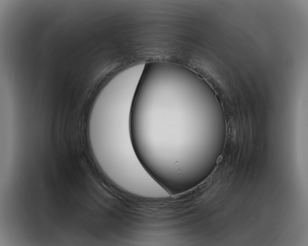 X0000088440692200705220915