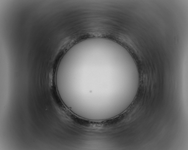 X0000088440694200705220915