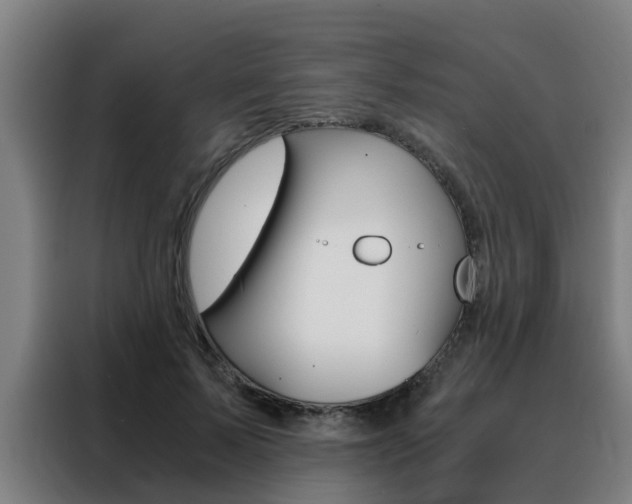 X0000088440695200705220915