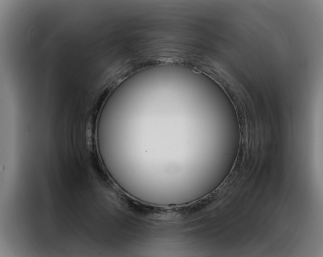 X0000088440696200705220915
