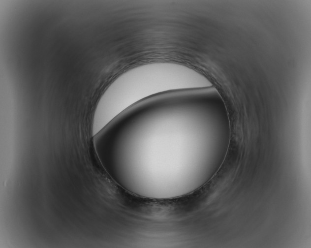 X0000088440697200705220915