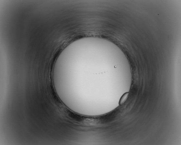 X0000088440699200705220915