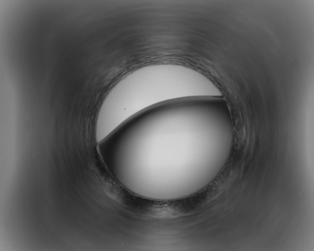 X0000088440704200705220915
