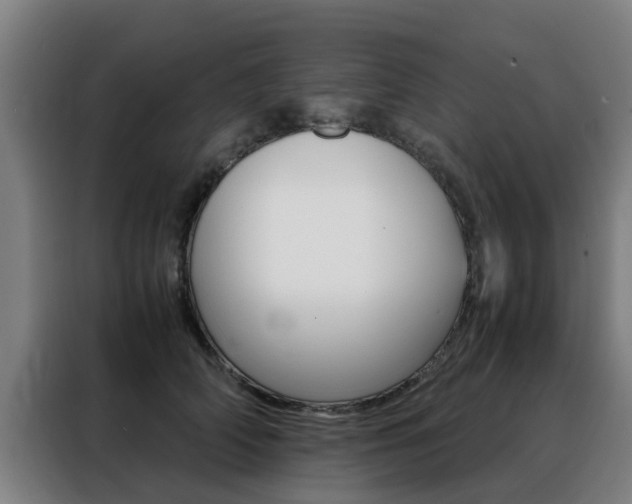 X0000088440706200705220915