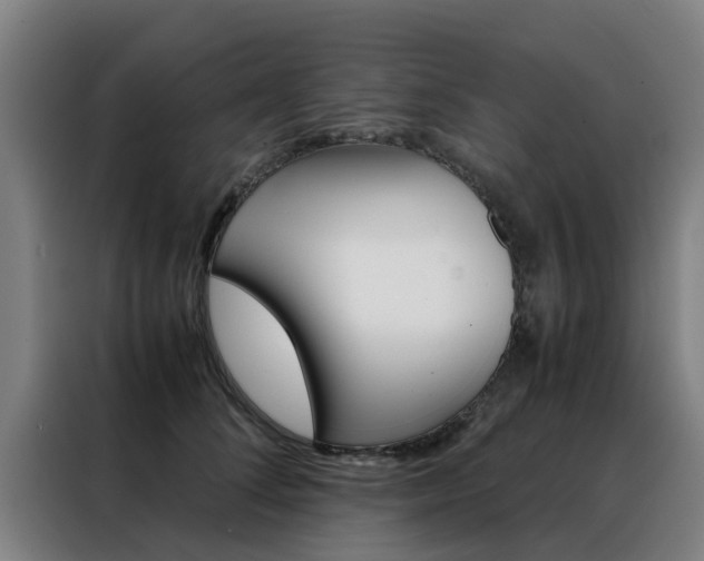 X0000088440708200705220915
