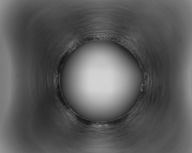 X0000088440712200705220915
