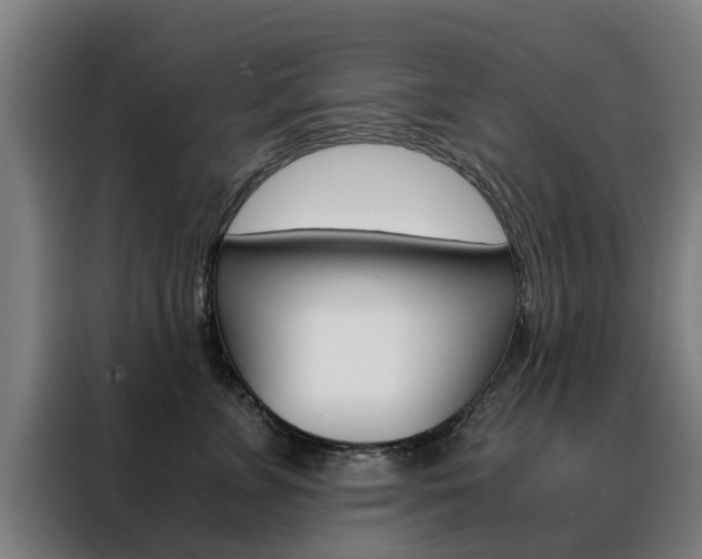 X0000088440715200705220915