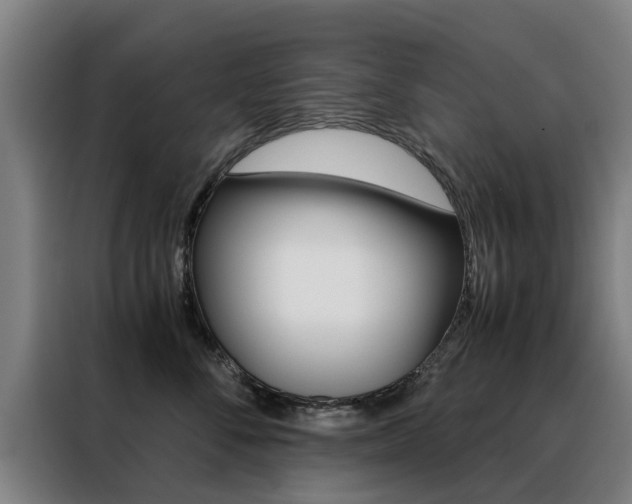 X0000088440716200705220915