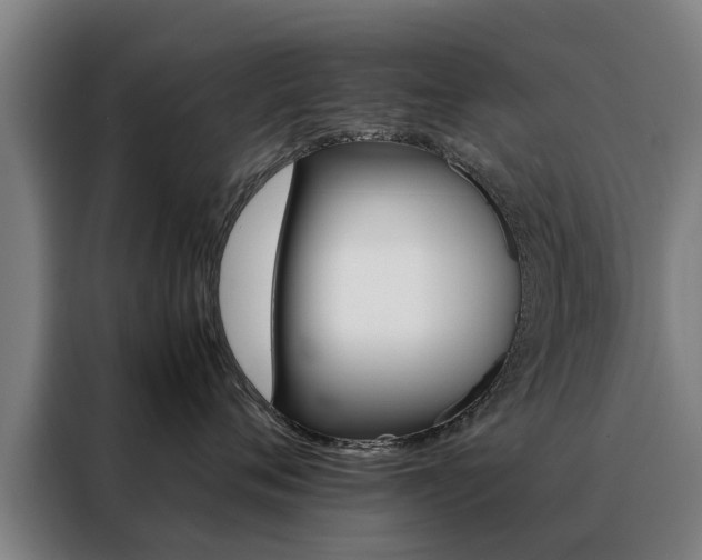 X0000088440720200705220915
