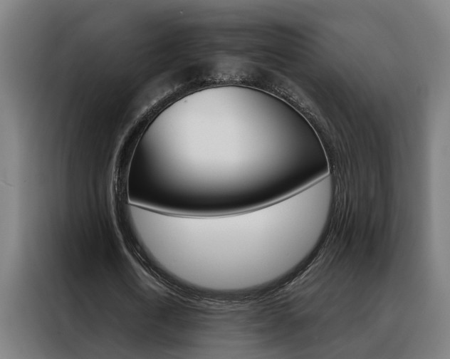 X0000088440722200705220914