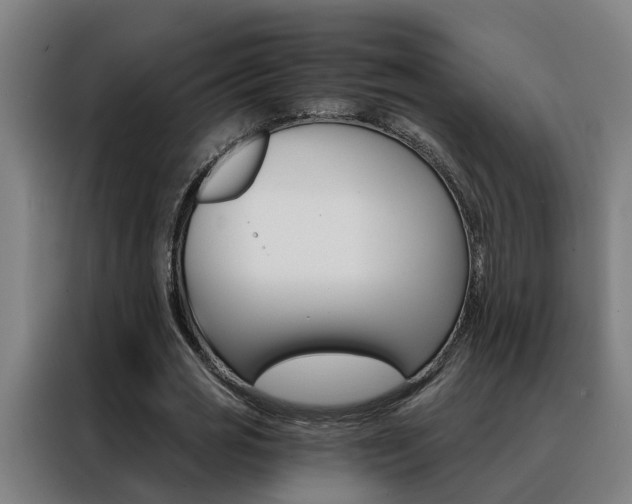 X0000088440725200705220914