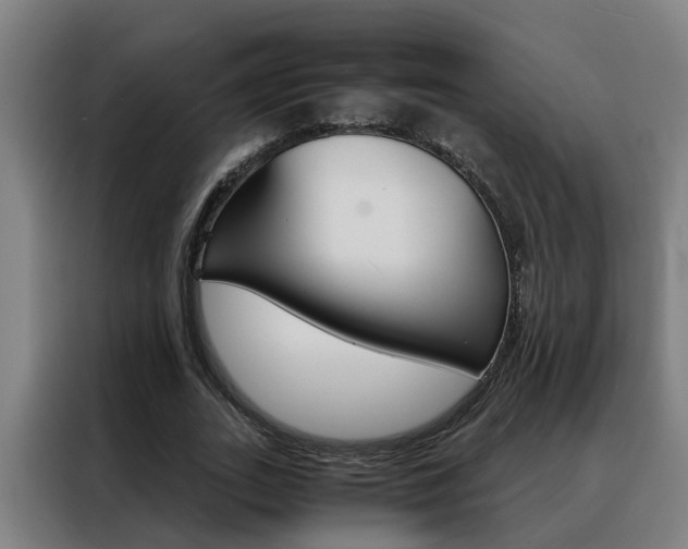 X0000088440727200705220914