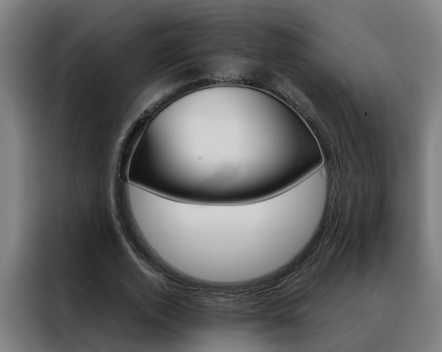 X0000088440728200705220914