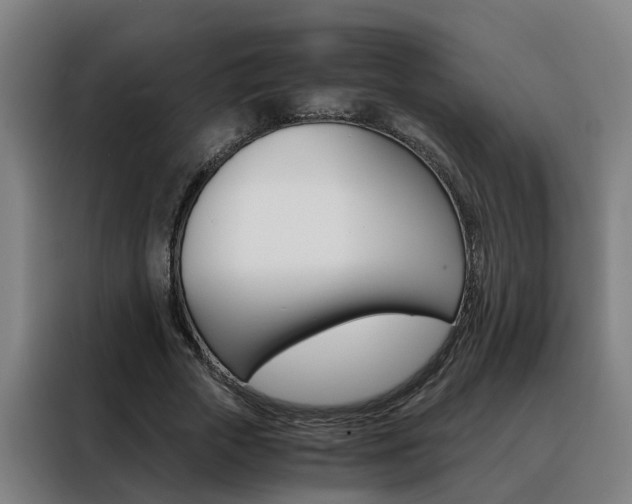X0000088440729200705220914