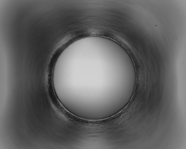 X0000088440730200705220914
